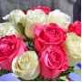 Букет из 11 белых и розовых роз